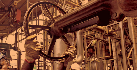 sustainable social development, creative workshops, social development festival at kaec